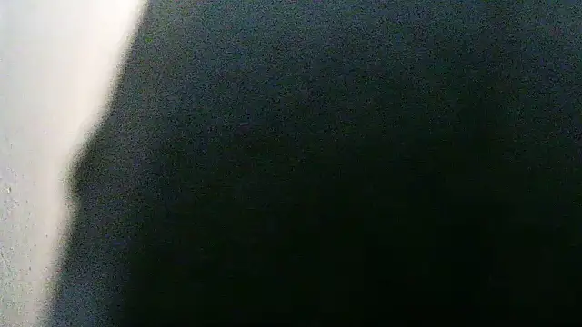 flayeyena 웹캠 쇼