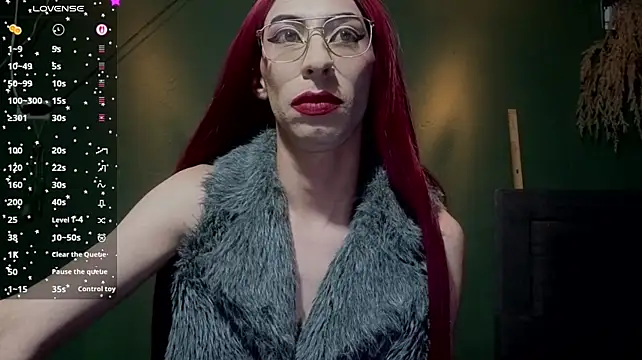 DOMINANT_TEACHER_KAROLn Webbikameraesitys
