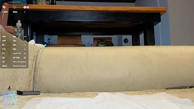 SweetSakuraJane লাইভ XXX চ্যাট