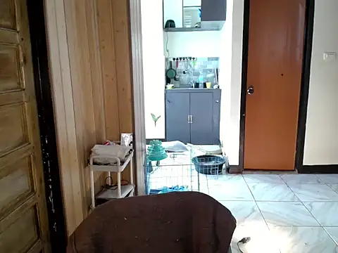 jakoloten's Webcam Show