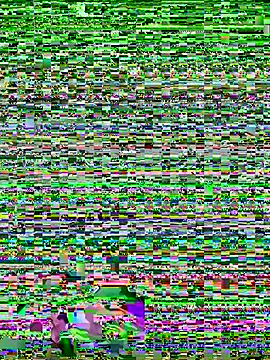ChefD_'s Live XXX Chat