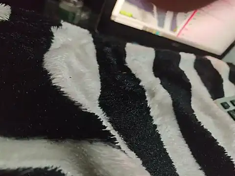 Dileilei Webcam Show