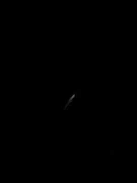 ALANNFERRERのウェブカメラショー