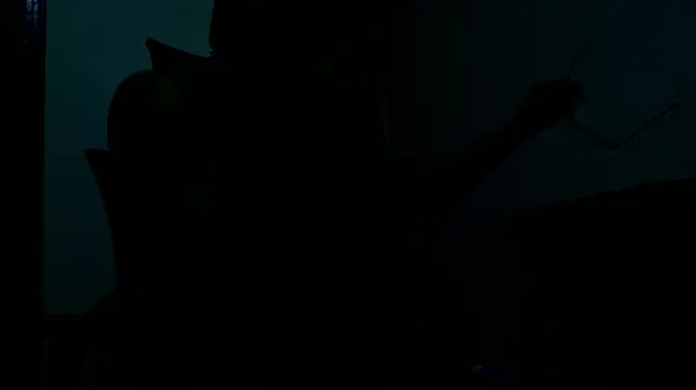 Show Webcam de doc_clark