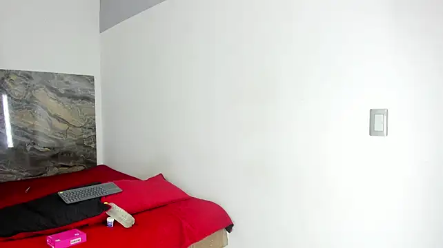 Aria_skyeのウェブカメラショー