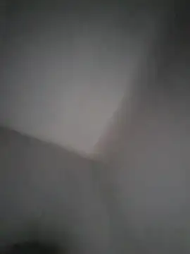 Daxsiton Webbikameraesitys