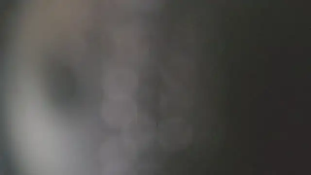 Asher_athletsn Webbikameraesitys