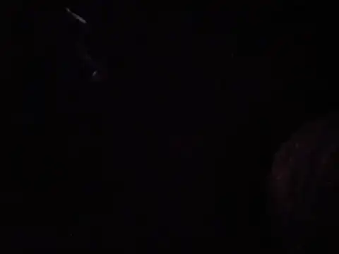 Zaddywood60 webkamerás műsora