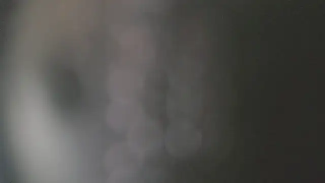 Asher_athletsn Webbikameraesitys