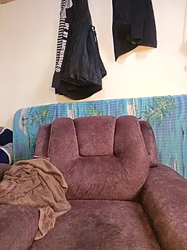 sellector254n Webbikameraesitys