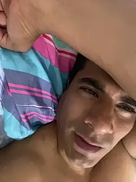 Show modela KobuPNP na web-kameri