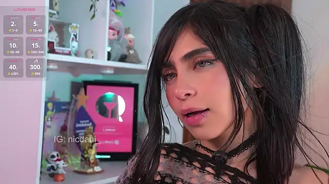 nicdani_1 Webcam Show