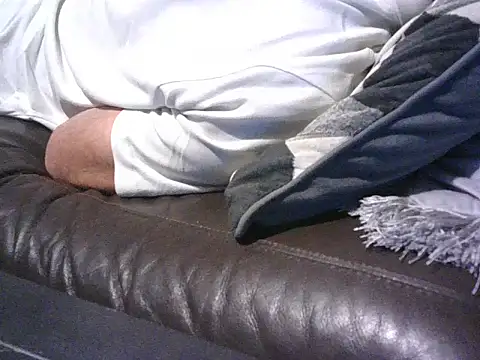 handyandyhandy Webcam Show