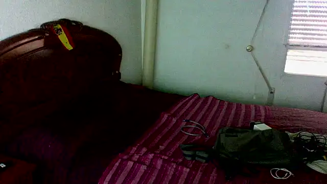 Show Webcam de spartan24cm