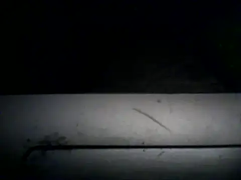morbuscba 웹캠 쇼