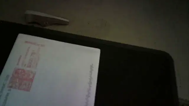 Show webcam de Sparky101