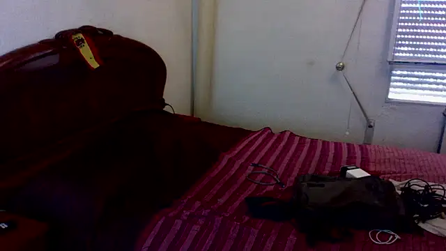 Živý XXX chat spartan24cm