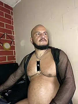 عرض كام the_master_foal_