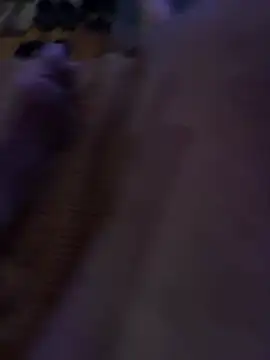 Maine8in Webcam Show