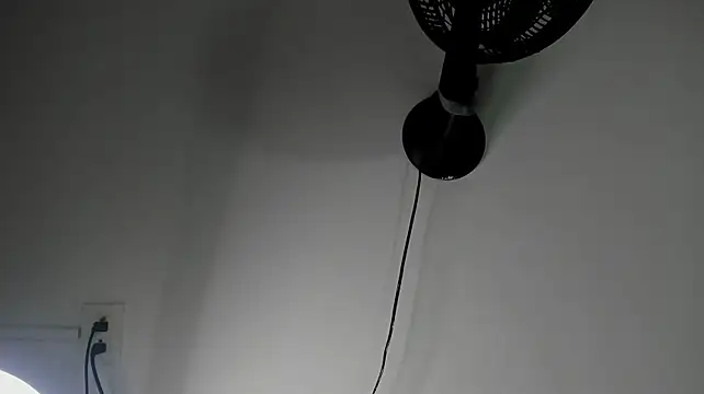 ElektraBomdans – webcam-show