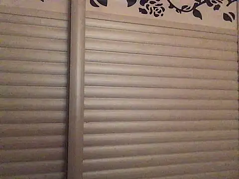 FleckedAlbumのウェブカメラショー