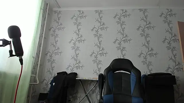SanFrantsisko Show in webcam
