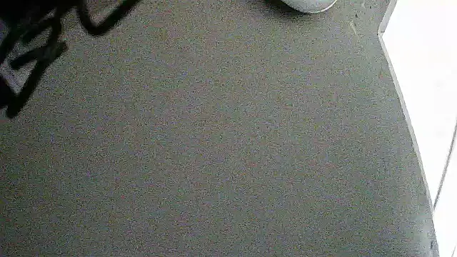 flayeyena Pertunjukan Webcam