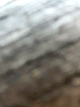 rezzzze Webcam-Show