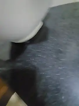 16Hose Show Webcam
