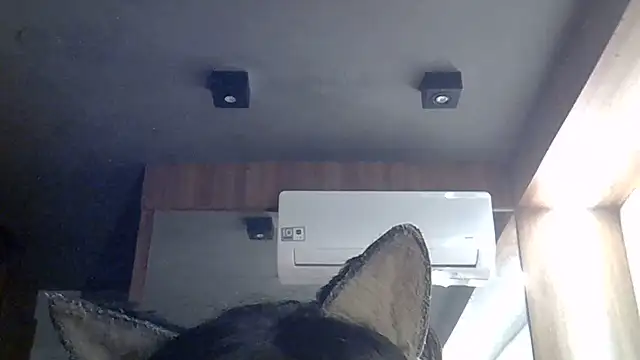 Show de webcam de SkinnyKitten