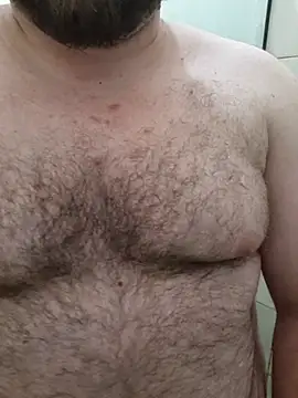 urso_agorasp Show in webcam