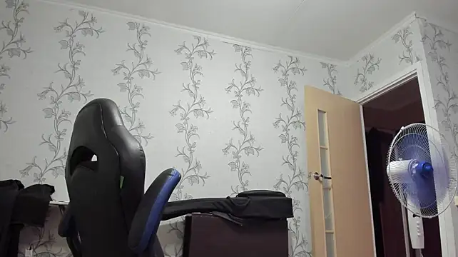 SanFrantsisko Show Webcam