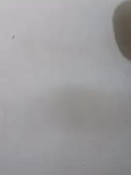 Онлайн чат XXX TrufflethaDon