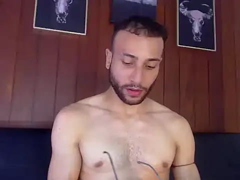BastianFlech Chat XXX live