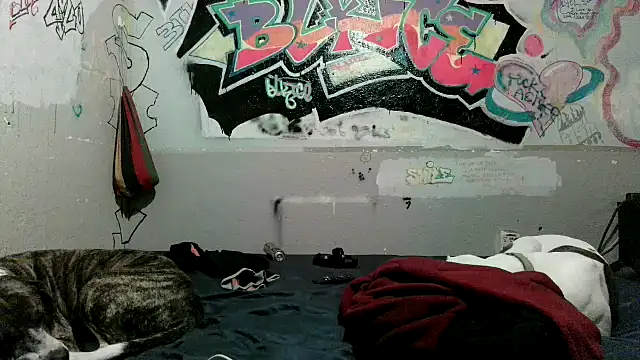 PornStro921's Webcam Show