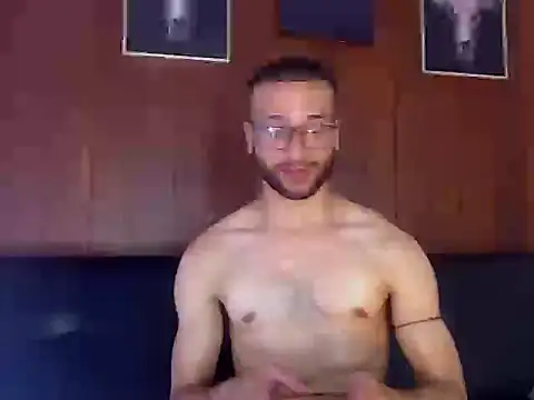 BastianFlech's Webcam Show