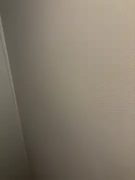 dvoi 웹캠 쇼