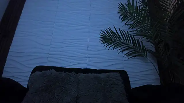 Pavo_tv 라이브 XXX 채팅