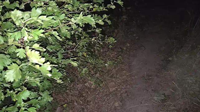 Webkamerová show Vuitton