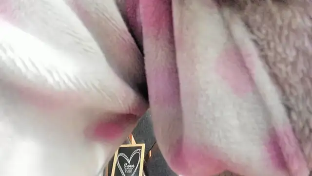 Maggyx's Live XXX Chat