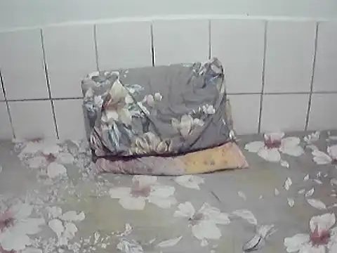 Pertunjukan Kamera Web pierdona