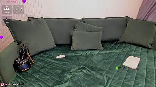 S0FlA's Webcam Show