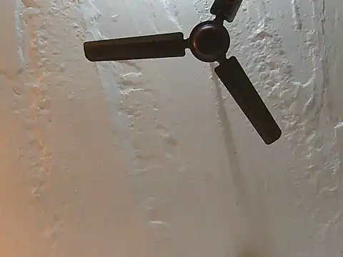 jaipurboy025 Webcam Show