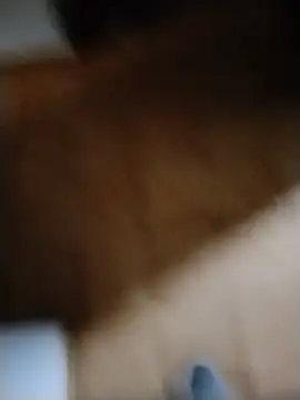 عرض كام minitranca