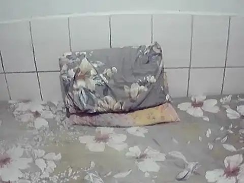 Show de pierdona na webcam