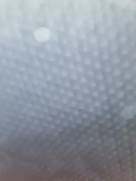 Luianna Obrolan Langsung XXX