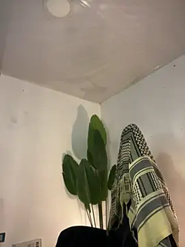 Chat XXX Live FreszX