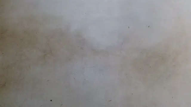 royblackbigpvt Webcamshow