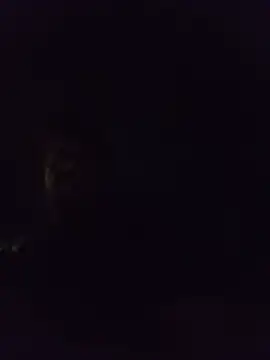 mariusSingur 网络视讯表演