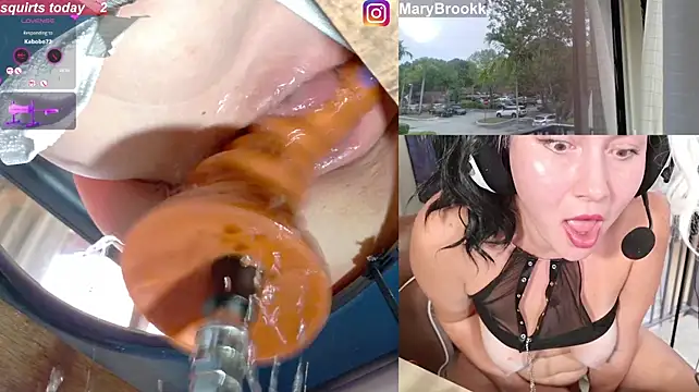 MaryBrook1 Show Webcam